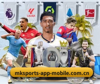 mk体育 APP(mksports)