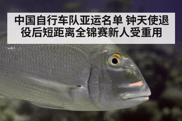 中国自行车队亚运名单 钟天使退役后短距离全锦赛新人受重用